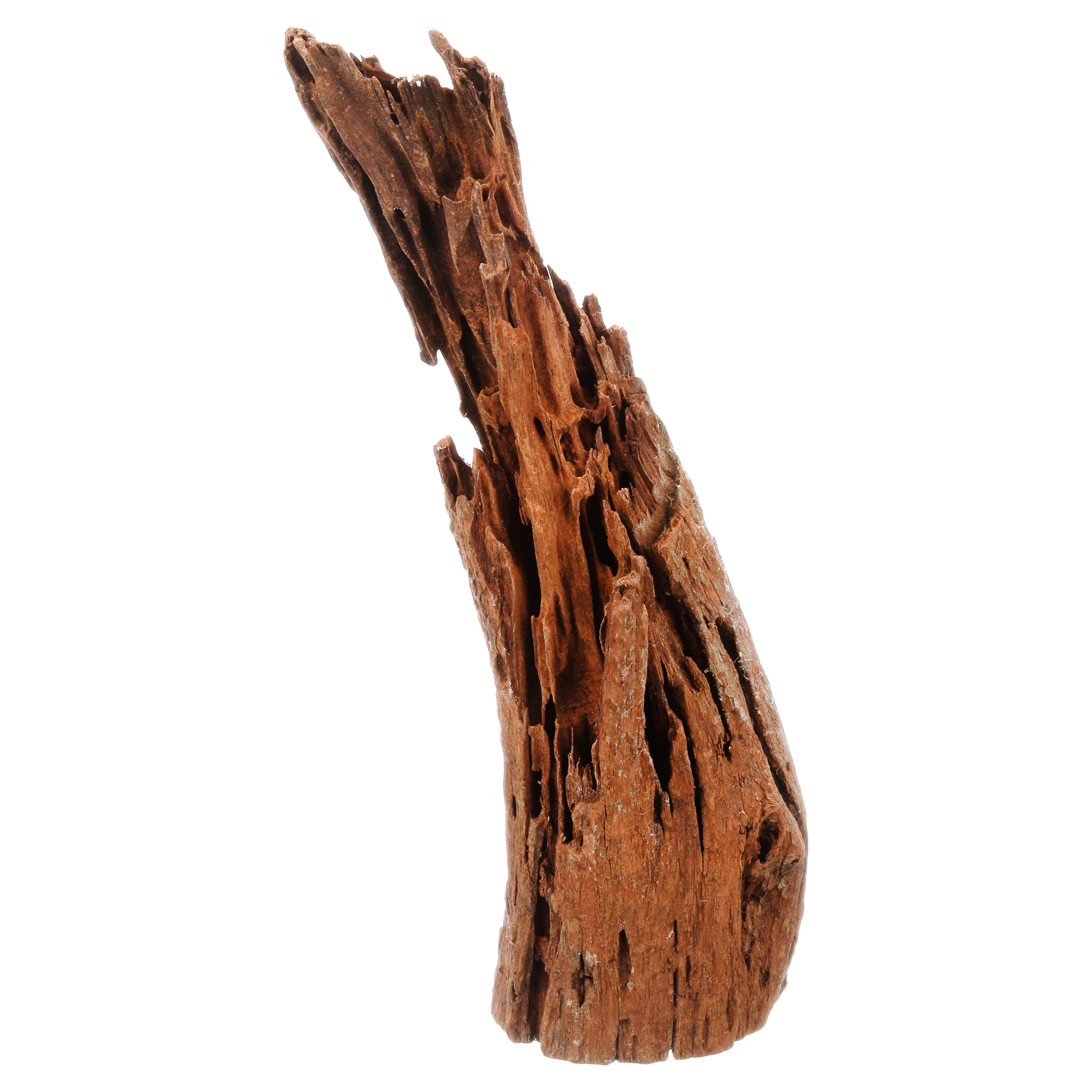 Galapagos Sinkable Driftwood, Natural, Medium Large 14-16in - image 2 of 6