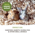 thumbnail image 3 of Living World Small Animal Bedding & Litter, Aspen Shavings, 20 L, 3 of 9
