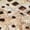 BEIGE MULTI, variant on Spring Step L'Artiste Women's Luxe Laser Cut Out Dress Shoes | Leather-Wrapped Salsa Heel, Hook and Loop Closure