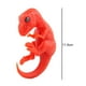 thumbnail image 5 of 2 uds figuras de dinosaurios colección de juguetes de de Color calentado Macarena Figura de dinosaurio, 5 of 8