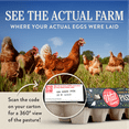 thumbnail image 5 of Vital Farms Organic Pasture-Raised Medium Grade A Eggs, 12 Count, 5 of 7