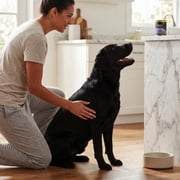 Pure Balance Pro + وصفة الدجاج طعام الكلب الرطب للأداء ، 12.5 أوقية يمكن