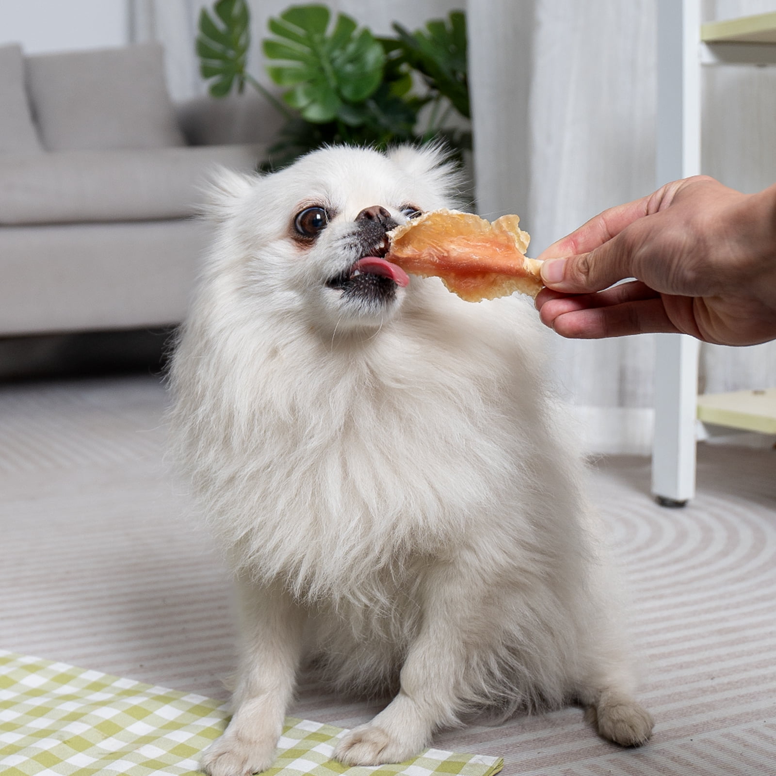 MON2SUN Chicken Wrapped Rawhide Sticks Small Dog Treats, 18.34 oz (40 Count)