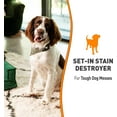 thumbnail image 3 of Nature’s Miracle Set-In Stain Destroyer Dog 1 Gallon, Oxy Formula With Orange Scent, 128 Ounces, 3 of 4