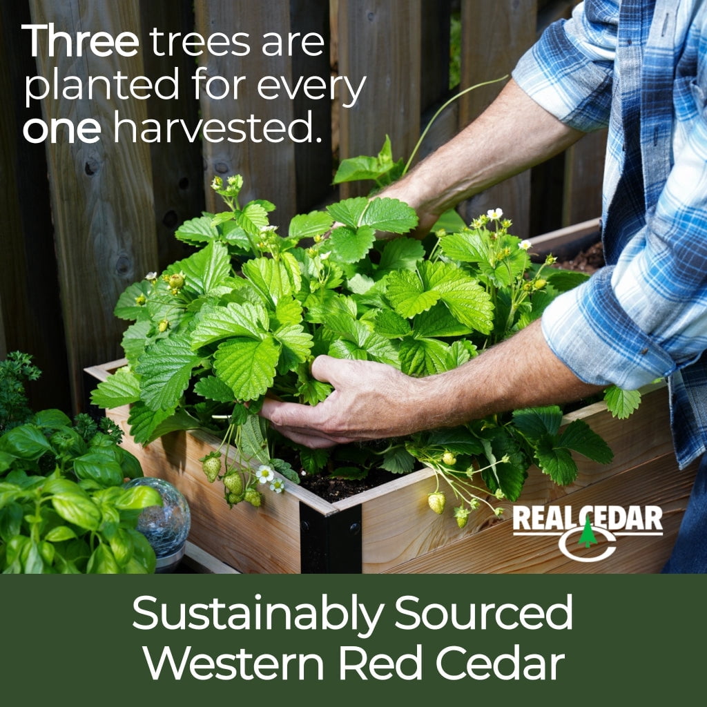 Cedar Planters 18" x 48" Elevated Garden Bed - Western Red Cedar Raised Planter Box, 24" Tall