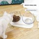 thumbnail image 4 of Food bowl / 15 inclined cat bowl - Removable / Double bowl, 4 of 5