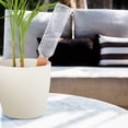 thumbnail image 1 of 4Pcs Cone Watering System Set Garden Watering Stakes Ceramic Clay Cones, 1 of 4