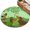 Green, variant on Large Area Rugs 5'x8', St. Patrick's Day Carpet Runner Indoor Outdoor Rugs Home Decor Aesthetic, Green Lucky Clovers Dog Non Slip Mats Washable Accent Rug for Living Room Bedroom