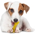 thumbnail image 4 of Nylabone Puppy Chew Freezer Toy Lamb Apple Flavor, SM/Regular, 4 of 9