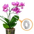 thumbnail image 5 of CIMAXIC Transparent Garden Wire and Leaf Shaping Clips Set for Indoor Climbing Plants Support and Training, 5 of 8