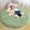 Mint green, variant on Conbriboy Black Round Rug Ultra-Soft Plush Modern 6ft Circle Area Rug For Kid'S Bedroom, Fluffy Shag Circular Rug For Nursery Room, Non-Slip Home Decor Cute Black Carpet For Teen'S Room