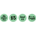 thumbnail image 2 of Darling Souvenir Quinceanera 15 Birthday Stickers for chocolate Candy Labels 190 Pcs-Mint, 2 of 2