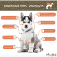 thumbnail image 3 of Iron Dog Super Premium Razas pequeñas adulto 8 Kg mas Pelota Spiny Caucho, 3 of 6