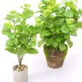 thumbnail image 3 of Bearachild Planta simulada verde de bajo mantenimiento 4x para decoración interior y exterior Planta falsa interior o exterior Decoración, 3 of 6