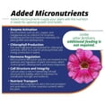 thumbnail image 3 of 10-30-20 Blossom Booster Water-Soluble Fertilizer with Micronutrients for Increasing Color and Quantity of in Flowering Plants, 1.5lbs, 3 of 6