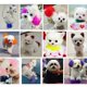 thumbnail image 5 of 80g Dyeing Pet Dog Cat Animals Hair Coloring Dyestuffs Pigment Agent Supplies, 5 of 5