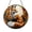 Acrylic 3.5 Inch, variant on Forest Fox Suncatcher – Decorative Window Hanging