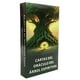 thumbnail image 2 of Mazo espiritual de árboles SoulRoots 3Pzas 56 cartas Español Árbol Espiritual Cartón, 2 of 6