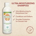 thumbnail image 3 of Creme Of Nature Mango Shea Butter Ultra Moist Shampoo, 12 Oz., Pack of 2, 3 of 6