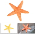 thumbnail image 4 of Orange Solid Simulation Sea Animal Figurine Realistic Educational Toy For Kids Marine Life, 4 of 7