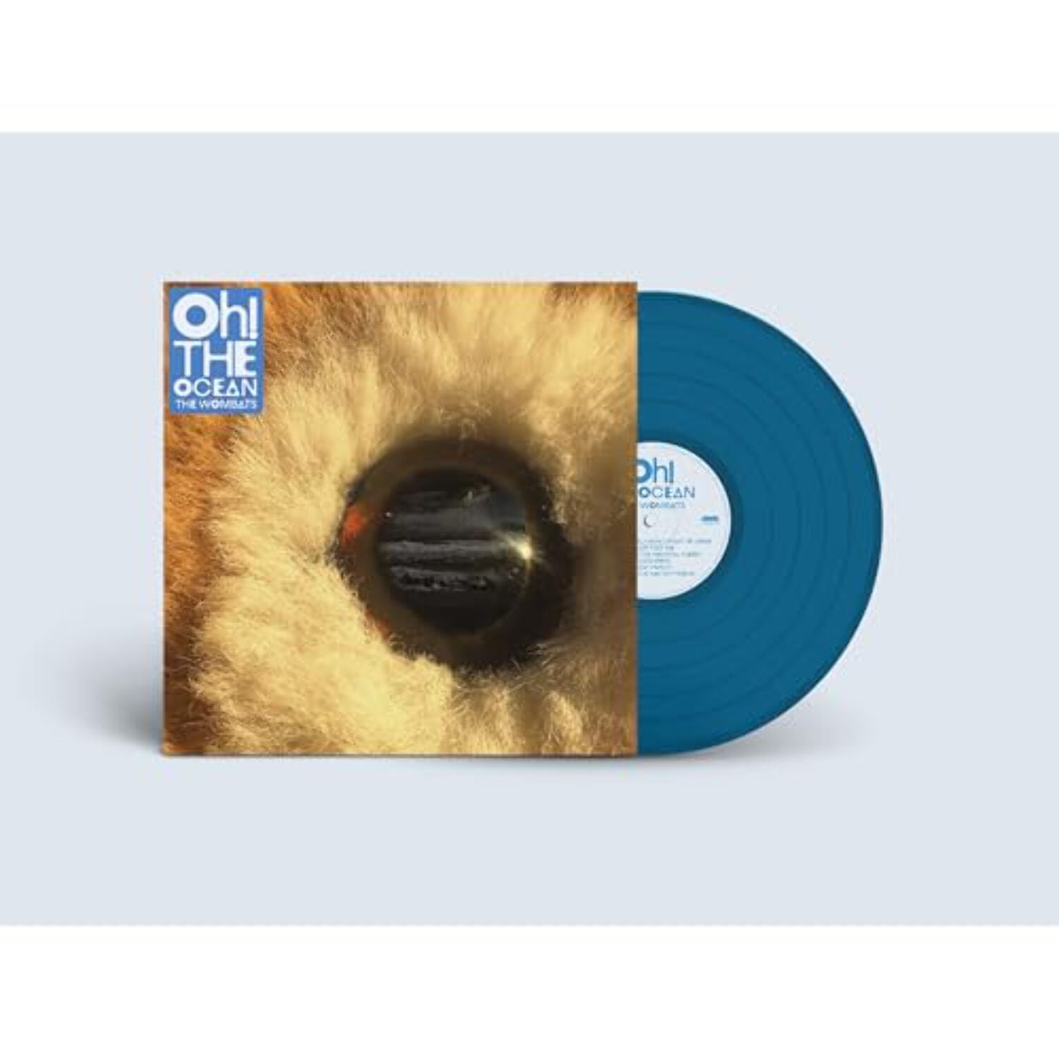 Owl City - Ocean Eyes - Music & Performance - Vinyl