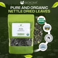 thumbnail image 2 of Biokoma Pure and Organic Nettle Dried Leaves 50g (1.76oz) in Resealable Moisture Proof Pouch, USDA Certified Organic - Herbal Tea, No Additives, No Preservatives, No GMO, Kosher, 2 of 8