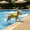 Yellow3-Small, variant on Funny dog bathing suit With Handle D Ring, 8-15lb Adorable dog life jacket Swimwear for Dogs Pool Beach Boating Bumblebees, Cute puppy life vest for swimming