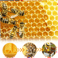 thumbnail image 4 of Beeswax Sheets 30Pcs Beeswax Foundation Sheets Wax Foundation for Bee Frames Natural Honeycomb Sheets Beeswax Sheets, 4 of 5