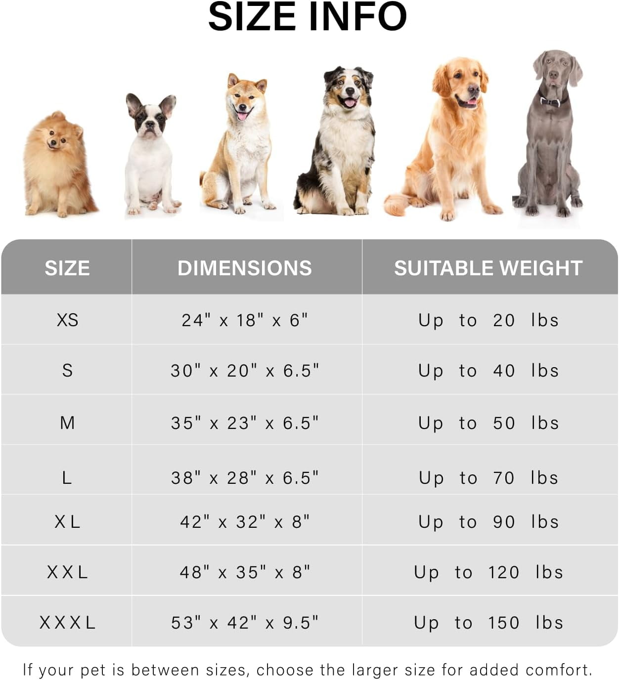 Orthopedic Dog Bed for Medium Dogs, Supportive Foam Medium Pet Bed Sofa with Washable Removable Cover, Waterproof Dog Couch Bed, Non-Slip Bottom and Egg-Crate Foam, Grey