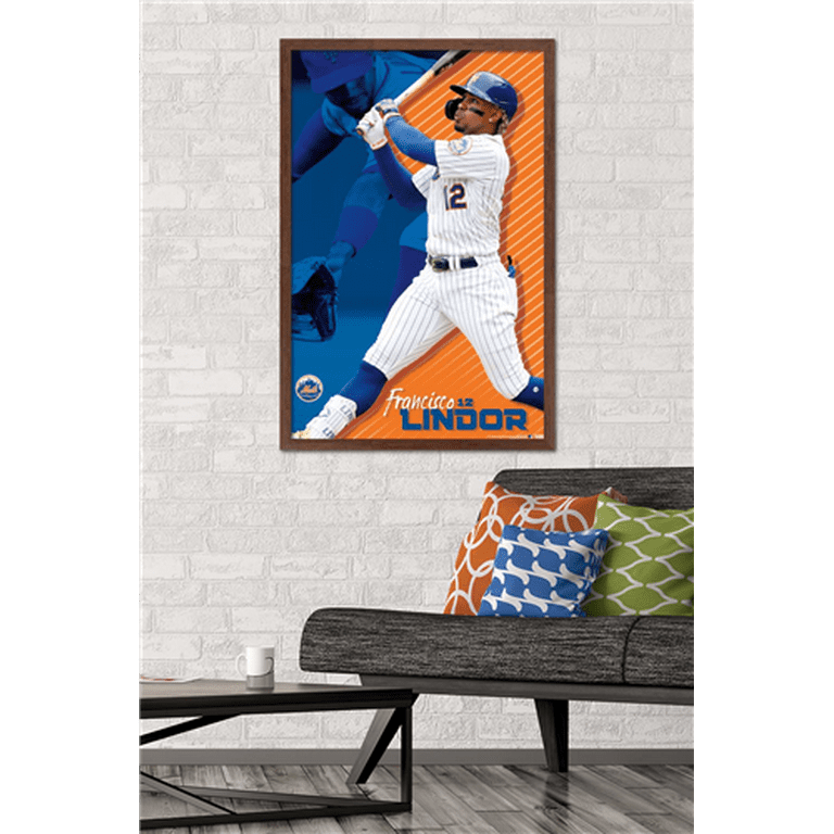 The Amazing Mets Champions ポスター額入り The Amazing Mets