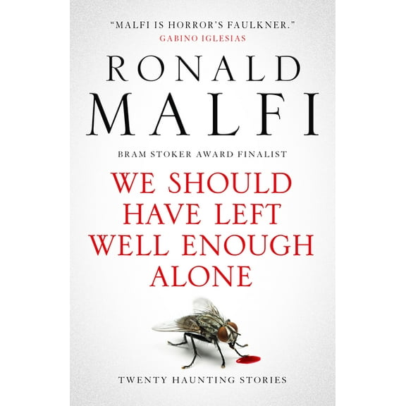 We Should Have Left Well Enough Alone, (Paperback)