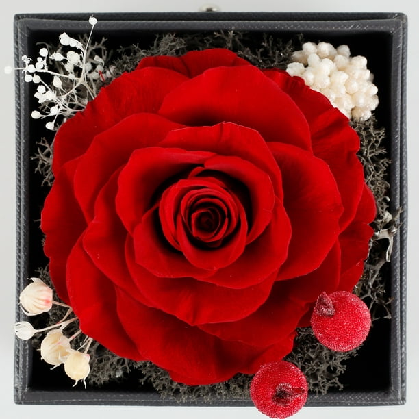 Preserved Real Rose with Necklace Enchanted Rose Flower Gifts Eternal Real  Flower Romantic Gift 
