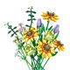 thumbnail image 1 of Kits de Construcción de Ramo de Flores ZHAOCHENG 975 Piezas, 1 of 5