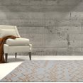 thumbnail image 1 of Ladole Rugs Grey Orange Indoor Solid Plain Shag Soft Area Rug Mat Carpet Runner for Living Bed room Entry way Patio Small Medium Large Non Slip Skid Size 3x5. 4x6, 5 x 8, 7 x 10, 9 by 12, 11 feet ft, 1 of 5