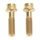 thumbnail image 1 of 2 Piezas De Aleación De Titanio Pernos De Bicicleta Tornillo M5x18mm Portátil Resistente Alta Dureza Rosca Fina Palanca De Freno Tornillo, 1 of 7