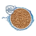 thumbnail image 4 of Alimento para Gato Cat Chow Pollo Gatitos 85 g, 4 of 6