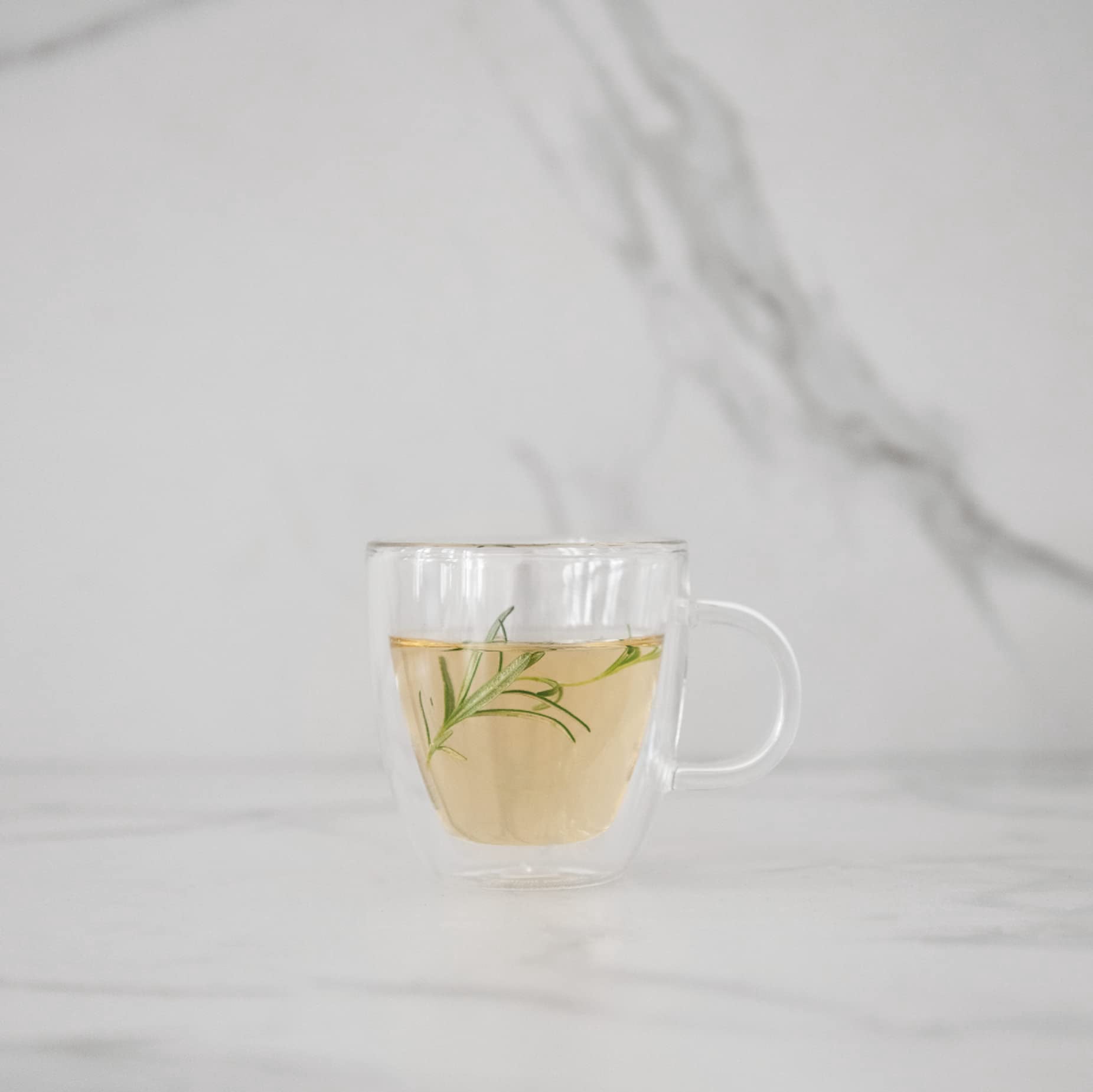 BODUM Bistro 2-Piece Double Wall Espresso Mug, 5 oz, glass