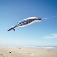 thumbnail image 3 of In the Breeze 5255 — Humpback Whale Big Breeze Windsock™ — Large, 3D Beach Windsock for Yards, Gardens, Patios, 3 of 9