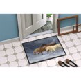 thumbnail image 2 of Carolines Treasures ASA2197JMAT Seeking Shelter Horses Door Mat Indoor Rug or Outdoor Welcome Mat 24x36 Doormat  36"L x, 2 of 4