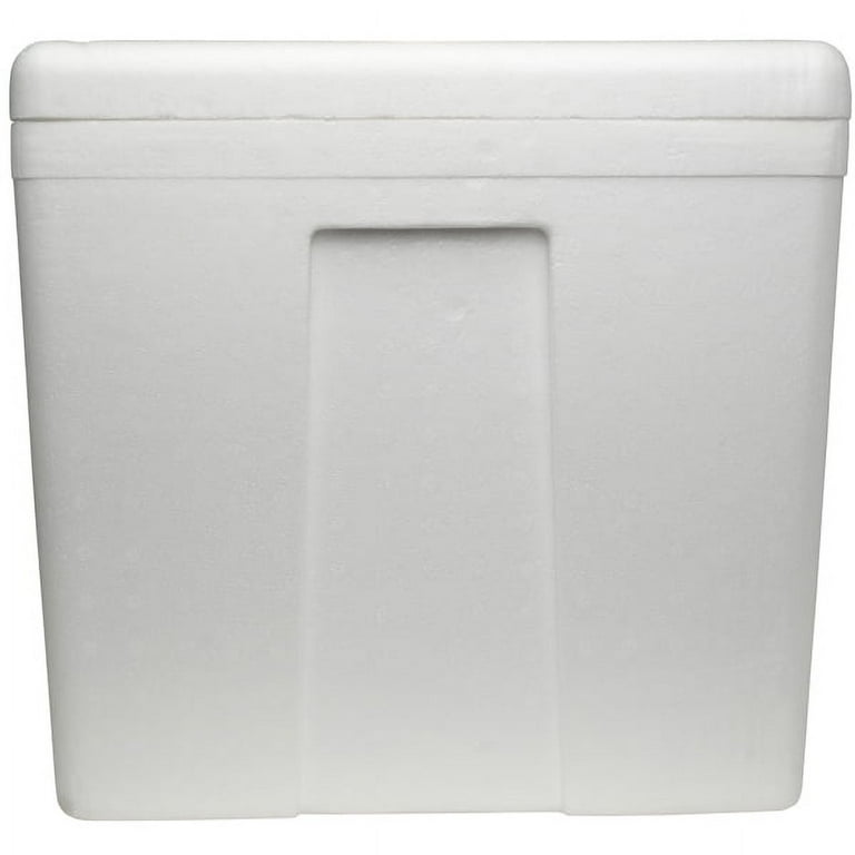 Deluxe Foam Cooler with Lids  Online grocery shopping & Delivery