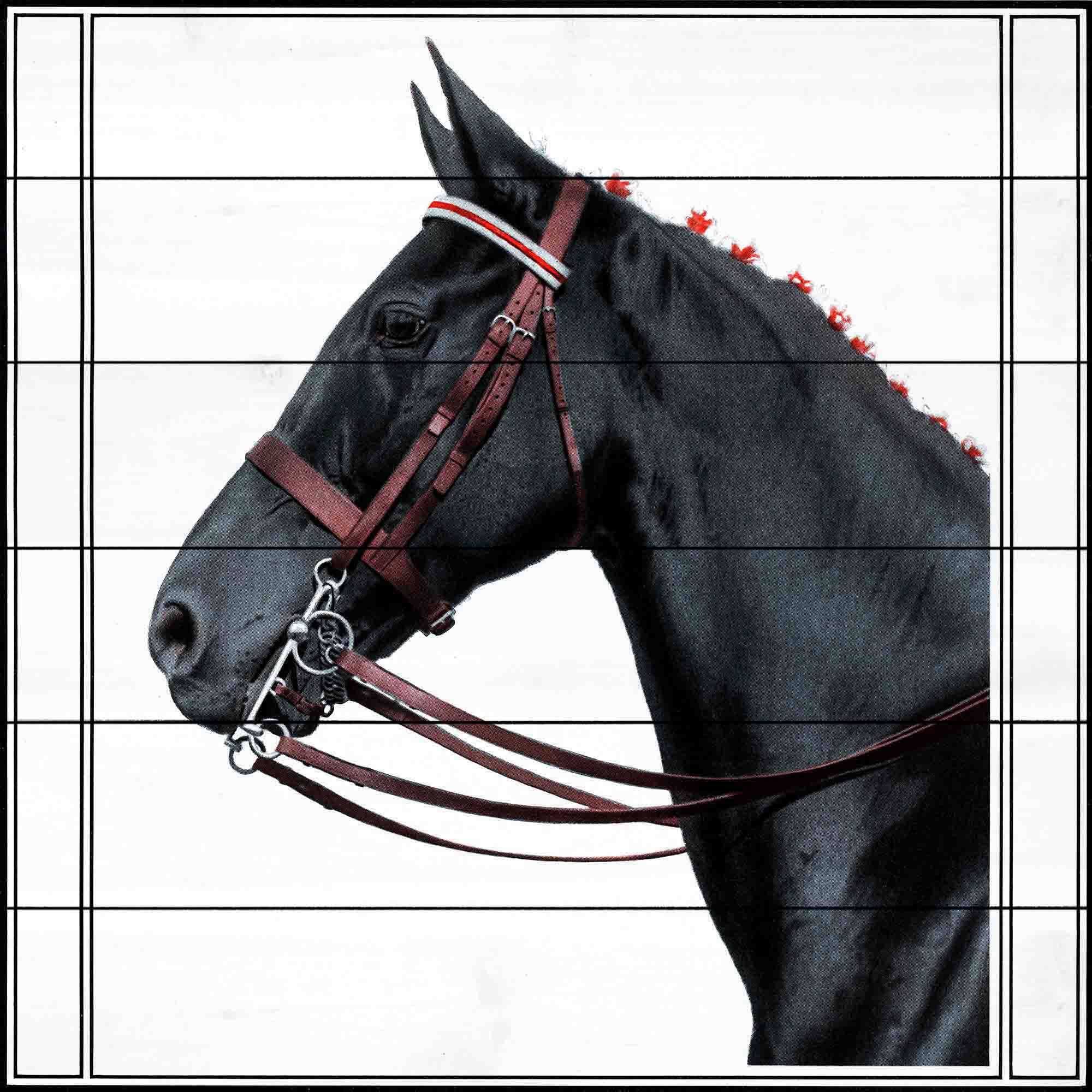 Marmont Hill "Journal Horse 2" Painting Print on White Wood