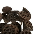 thumbnail image 4 of Vickerman Natural Botanicals 20" Lotus Pod, Medium on Stem. Includes 50 pieces per Pack., 4 of 5
