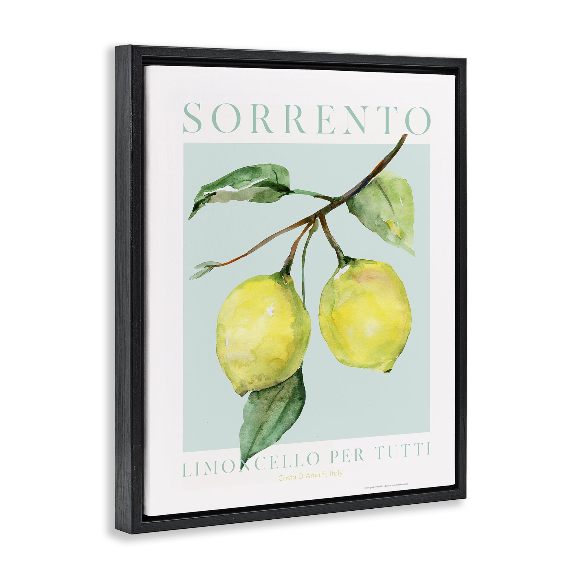 Stupell Industries Sorrento Lemon Branch Food & Beverage Painting Black Floater Framed Canvas Art Print Wall Art, 25 x 31