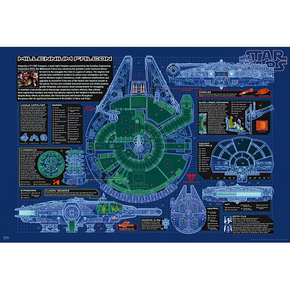 Star Wars - Movie Poster - Millennium Falcon Blueprint / Cutaway (Size: 40 X 27)