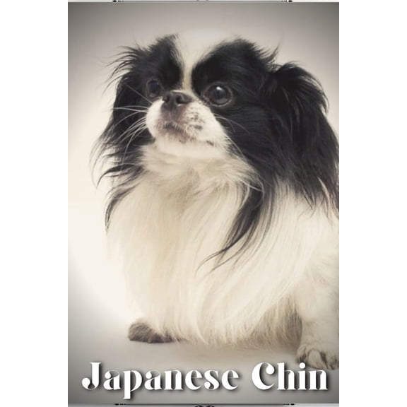 Japanese Chin : Dog breed overview and guide (Paperback)