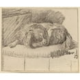 thumbnail image 3 of Cornelis Ploos van Amstel 14x12 Black Modern Framed Museum Art Print Titled - Lying Dog (1777), 3 of 5