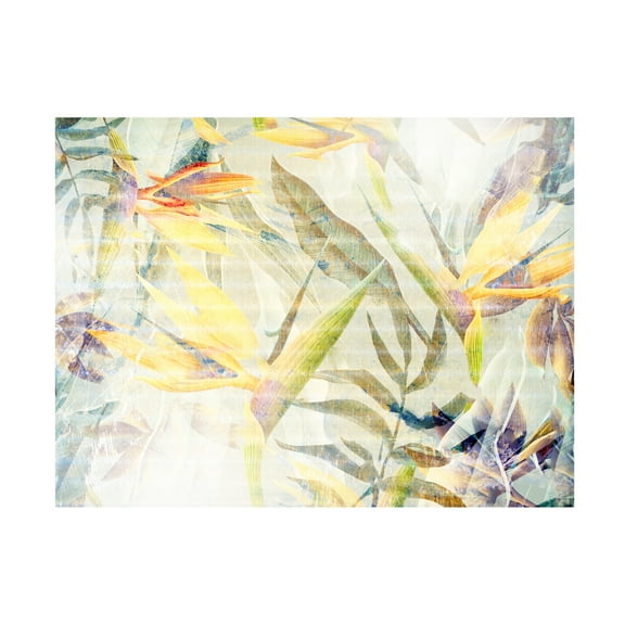 Trademark Fine Art Rafal Kulik Ombre jungle Canvas Wall Art