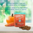 thumbnail image 4 of Lucy Pet Products Hip to Be Square Salmon & Pumpkin Dog Treats 6 oz, 4 of 7