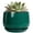Blackish Green, variant on Ceramic Planter 7 Inch - Flower Pots for Indoor Plants, Round Planter with Drainage and Ceramic Tray, Modern Plant Pot, Bathroom Decor, Teacher Gifts, Red