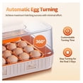 thumbnail image 6 of 56 Egg Incubators for Hatching Eggs, Automatic Egg Turning and Humidity Temperature Control, Egg Candler, 360° Viewing Incubator for Hatching Chicken, , Goose, Quail, 6 of 9
